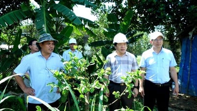 Tập trung rà soát, đẩy nhanh tiến độ, thực hiện các dự án, tiểu dự án thuộc các Chương trình mục tiêu quốc gia