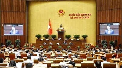 국회는 5월 28일 부가가치세 감면 결의안 초안을 논의했다.