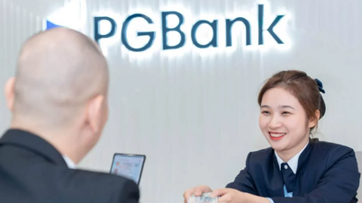 ظل مجموعة TC "مختبئ" خلف PGBank