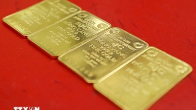 Precio del oro hoy (tarde del 28 de mayo): Se cotiza cerca de los 118 millones de VND/tael para la venta - Periódico y estación de radio y televisión Lang Son