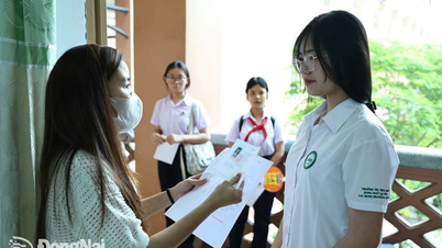 Chuyện những thí sinh trường tư thi vào lớp 10 công lập 'không áp lực kết quả'