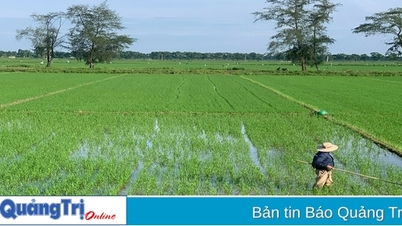 ការបំប្លែងទៅជាផលិតកម្មកសិកម្មសរីរាង្គ - ទិសដៅអភិវឌ្ឍន៍ប្រកបដោយចីរភាព