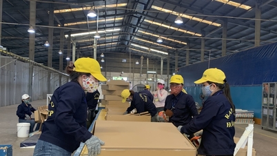Bringing the Law on Occupational Safety and Health into life