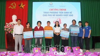 Brindando medios de vida a mujeres pobres que superan dificultades en el distrito de Van Ninh