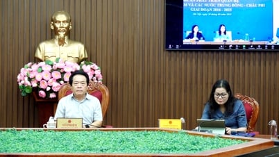 Phó Chủ tịch UBND tỉnh Võ Phiên dự Hội nghị tổng kết Đề án phát triển quan hệ giữa Việt Nam và các nước Trung Đông- Châu Phi giai đoạn 2016-2025