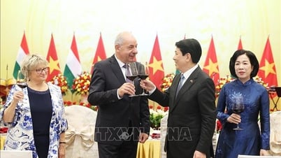 Präsident Luong Cuong gibt offiziellen Empfang für den ungarischen Präsidenten