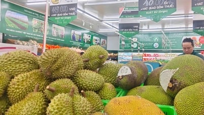 Giá sầu riêng hôm nay 28/5: Sầu riêng Thái Đông Nam Bộ tiếp đà tăng