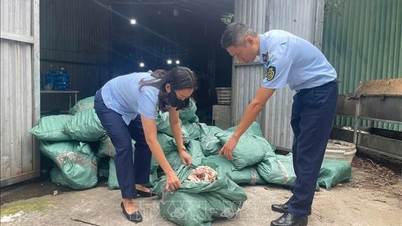 Beschlagnahmt mehr als 33 Tonnen stinkende Tiefkühlkost unbekannter Herkunft