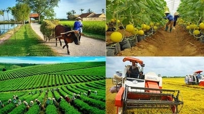 Promouvoir l'économie rurale à partir de la résolution 68