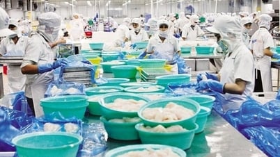 ¿Cuánto gastan las empresas para cumplir con los procedimientos administrativos?
