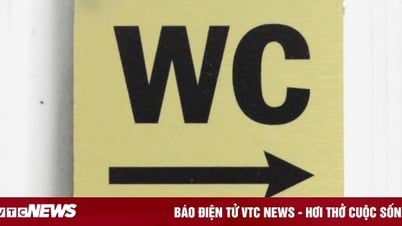 毎日目にする「WC」という言葉ですが、実際に何を意味するのか知っている人はいますか?