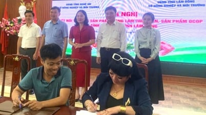 Tiêu thụ hơn 2 tấn bơ 034 trong ngày đầu ký kết hợp đồng