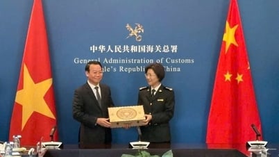 Einrichtung eines „grünen Kanals“ für den Import vietnamesischer Agrarprodukte nach China