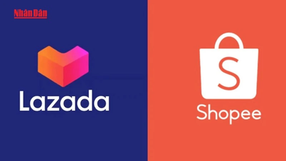 [動画]保健省がShopeeとLazadaに無認可の栄養補助食品製品の削除を要請
