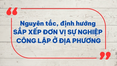 หลักการและแนวทางการจัดองค์กรบริการสาธารณะระดับท้องถิ่น