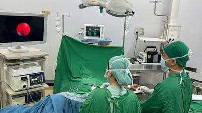 고품질 의료 개발을 위한 발판 마련