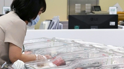 한국의 출산율이 1분기에 크게 증가했습니다.