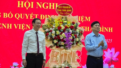 Anuncio de la decisión de nombrar al Director del Hospital General Provincial de Thai Binh