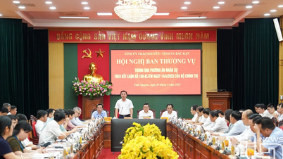 Comité Permanente del Partido Provincial Thai Nguyen-Bac Kan: Plan de personal aprobado tras la fusión