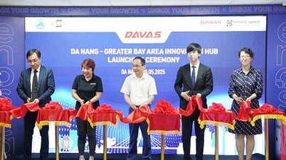 Запуск Danang Innovation Space - GBA Greater Bay Area