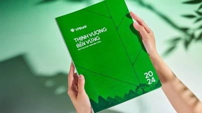 VPBank lần đầu công bố Báo cáo Phát triển Bền vững
