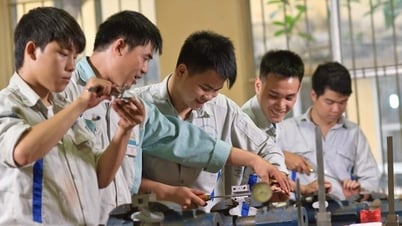 Propuesta para añadir un tipo de escuela secundaria vocacional