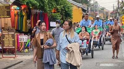 Proposal to transfer the Center for Culture, Information and Tourism of Hoi An City to the Center for Management and Conservation of Cultural Heritage of Hoi An and the management wards