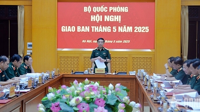 El Ministro Phan Van Giang presidió la reunión mensual del Ministerio de Defensa Nacional...