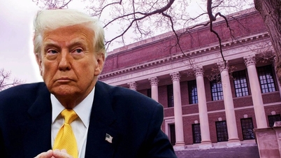 US-Regierung signalisiert unerwartet Rückzug vom Verbot der Harvard-Rekrutierung internationaler Studenten