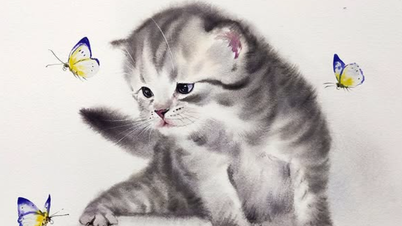 Ngắm những chú mèo hoang vẽ bằng màu nước giống như thật của họa sĩ Thái Lan