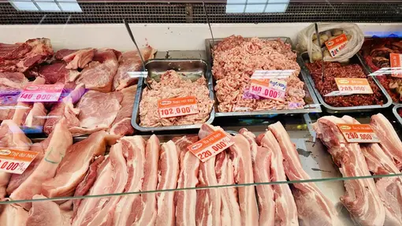 Precio del cerdo hoy 29 de mayo: El área pico continúa aumentando