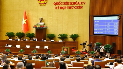 National Assembly votes on piloting special mechanism for social housing development