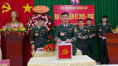 Bộ đội Biên phòng tỉnh An Giang hoàn thành đại hội chi bộ, đảng bộ cơ sở