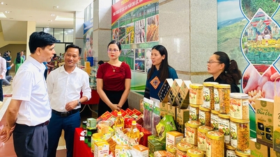 Khai thác lợi thế phát triển sản phẩm OCOP