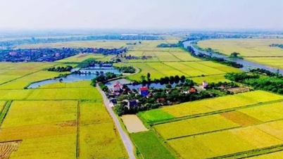 วันที่ 30 พฤษภาคม วันสุดท้ายในการยื่นคำร้องขอขยายระยะเวลาการชำระภาษีและค่าเช่าที่ดิน
