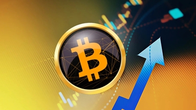Dự báo sốc 330.000 USD cho 1 bitcoin: Viễn cảnh bùng nổ hay cú lừa thế kỷ?