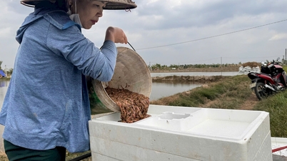 Stärkung des Schutzes einzigartiger und seltener Wasserressourcen in Hai Duong