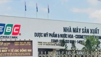 Procesamiento del caso de “fabricación y comercio de productos falsificados” en EBC Dong Nai Medical Factory Joint Stock Company