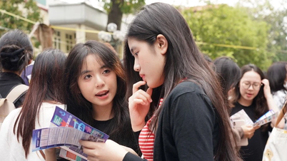 Tạm hoãn visa du học Mỹ: Giải pháp nào để không gián đoạn kế hoạch du học?