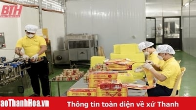 Supporting OCOP products of Thanh Hoa