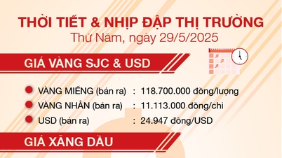 Thời tiết & nhịp đập thị trường 29/5
