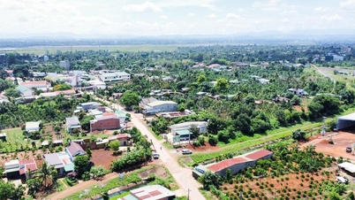 « Fruit sucré » dans une nouvelle construction rurale à Ea Hiu