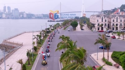 El Festival de Autos y Ruedas Divertidas de Ha Long 2025 llegará pronto