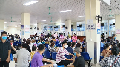 [Video] Khuyến cáo từ Bộ Y tế trong cao điểm sốt xuất huyết