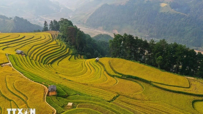 มู่กางไจ (เยนบ๊าย) เป็นหนึ่งใน 6 จุดหมายปลายทางที่สวยงามแต่ไม่ค่อยมีใครรู้จักในเวียดนาม