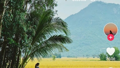 An Giang a través de los ojos de los jóvenes