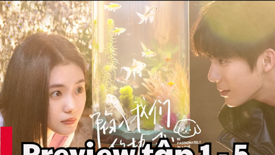 Falling In Love With Us, Episode 1–5: Spielzeiten, direkte Links zum Ansehen