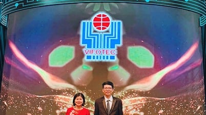 El proyecto de Bac Lieu sobre la aplicación de imágenes de teledetección para monitorear la energía eólica ganó un premio nacional.