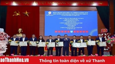 Leiter der KTGSMBĐ-Abteilung Tran Ngoc Tu - Engagiert für Kundenvertrauen und Transparenz der Elektrizitätsbranche