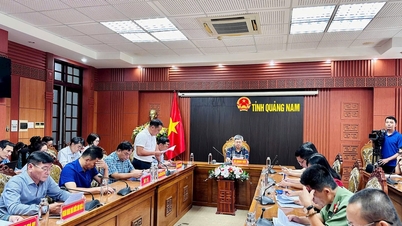 The International Ngoc Linh Ginseng Festival is expected to open in Quang Nam on August 1.